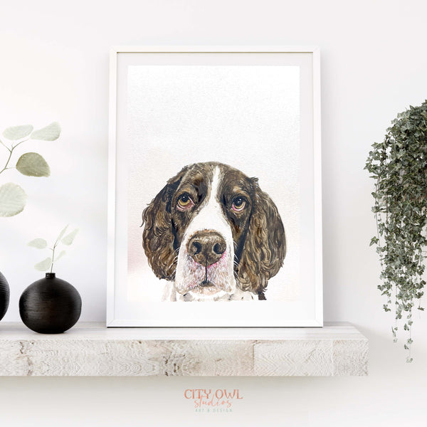 Peekaboo Pet Portrait
