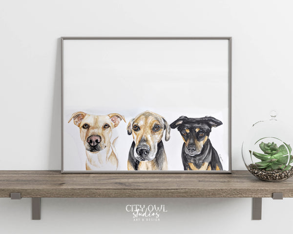 Peekaboo Pet Portrait