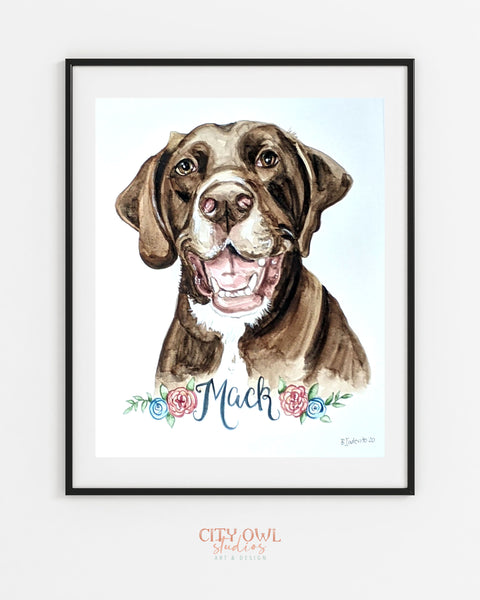 Pet Portrait