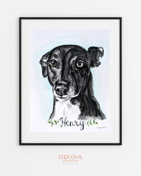 Pet Portrait