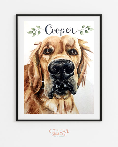 Pet Portrait
