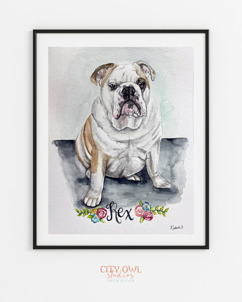 Pet Portrait