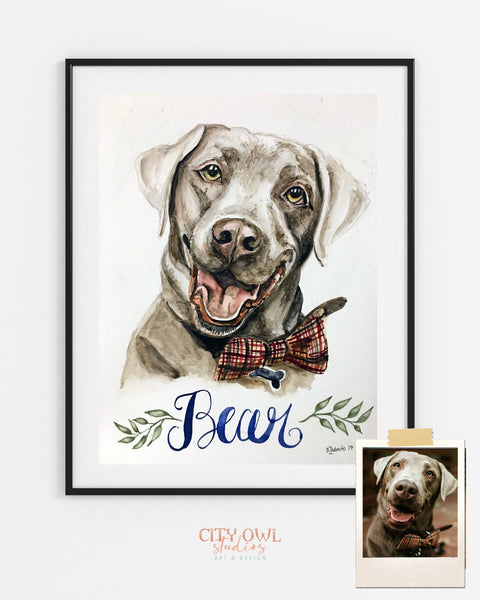 Pet Portrait