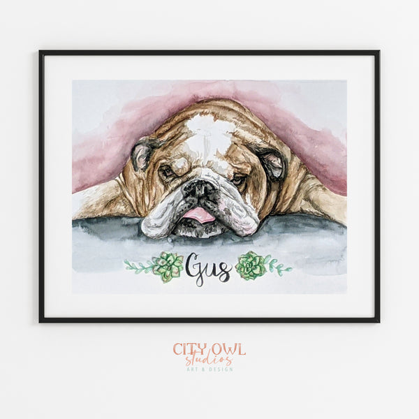Pet Portrait