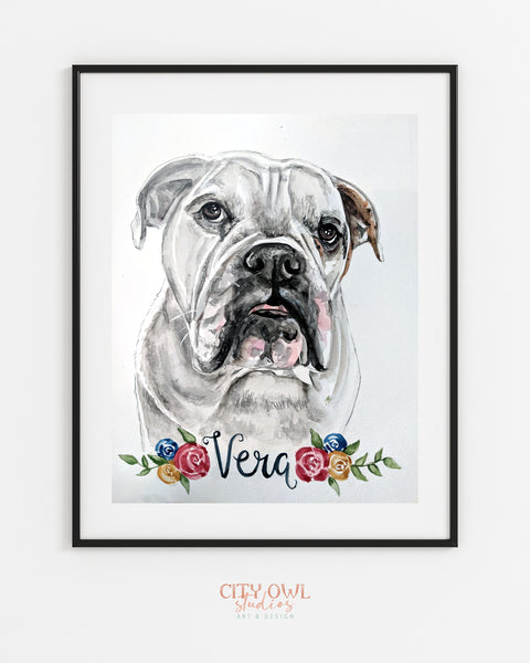 Pet Portrait