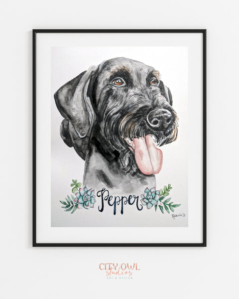 Pet Portrait