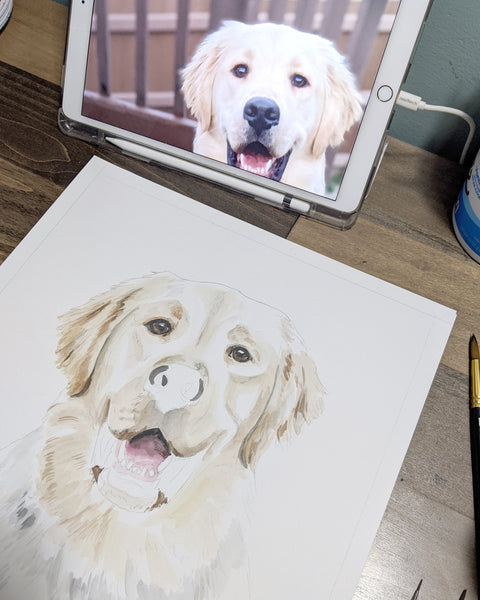 Pet Portrait