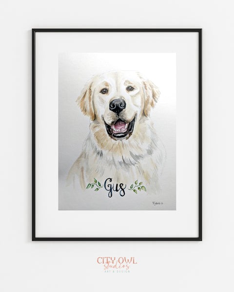 Pet Portrait