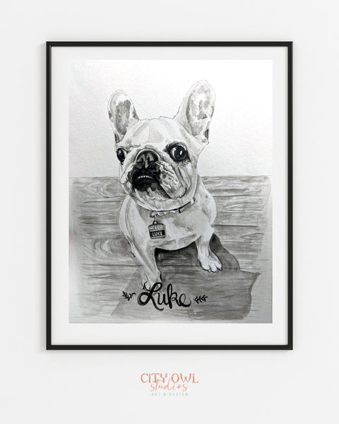 Pet Portrait