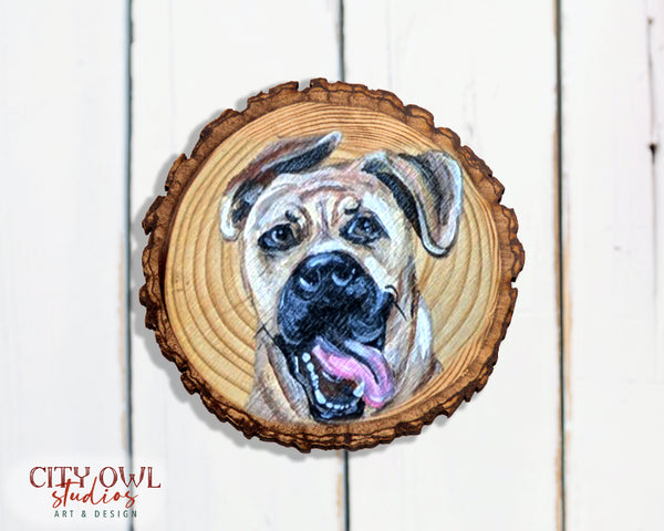 Pet Ornament