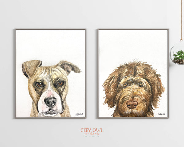 Peekaboo Pet Portrait
