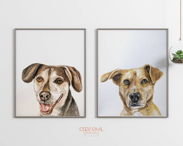 Peekaboo Pet Portrait