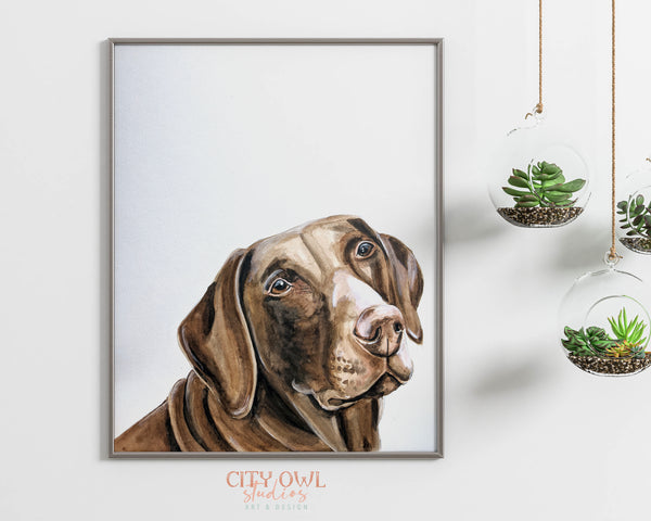 Peekaboo Pet Portrait