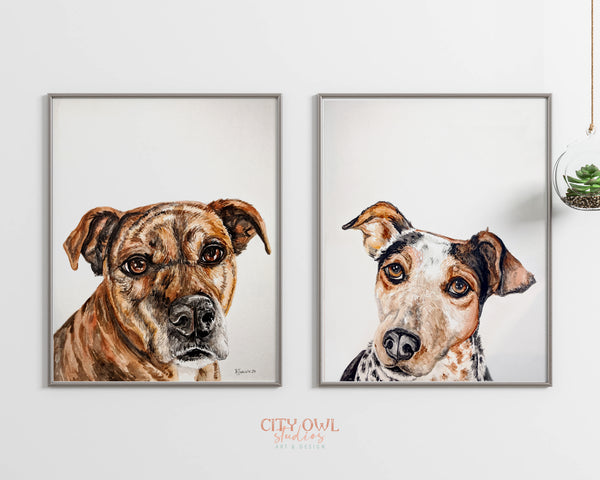 Peekaboo Pet Portrait