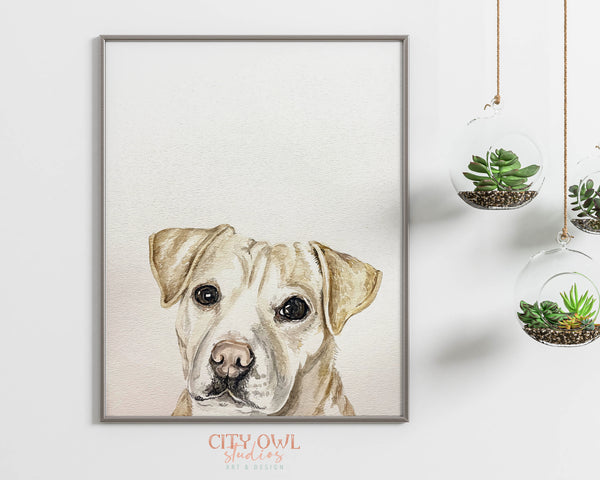Peekaboo Pet Portrait