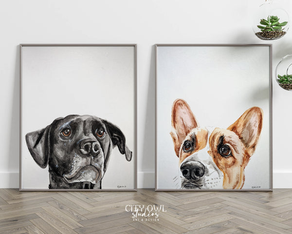 Peekaboo Pet Portrait