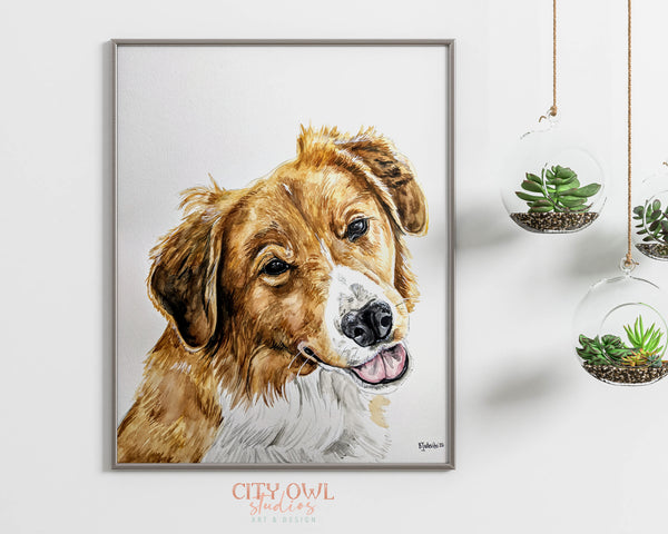 Peekaboo Pet Portrait
