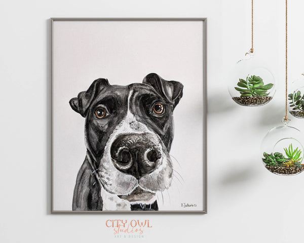 Peekaboo Pet Portrait