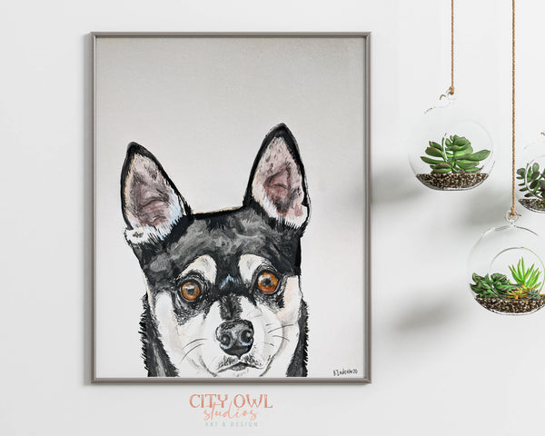 Peekaboo Pet Portrait