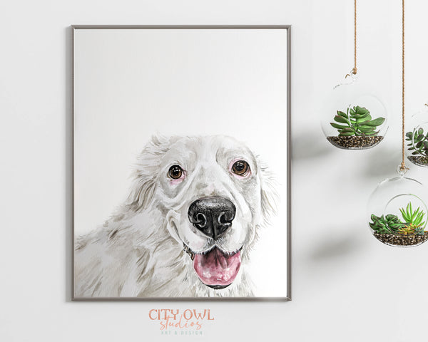 Peekaboo Pet Portrait